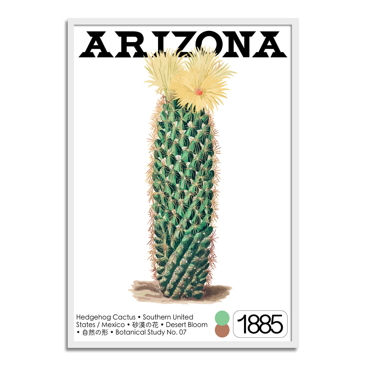 Hedgehog Cactus