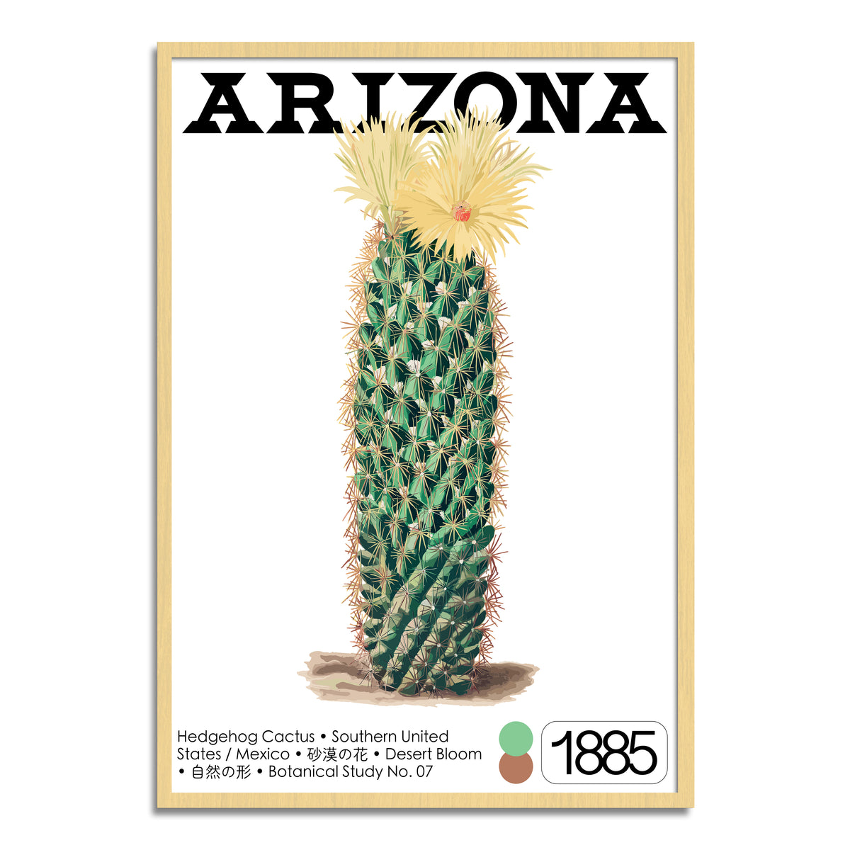 Hedgehog Cactus