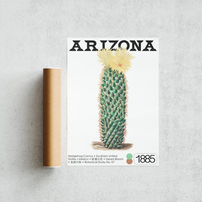Hedgehog Cactus