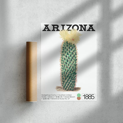 Hedgehog Cactus