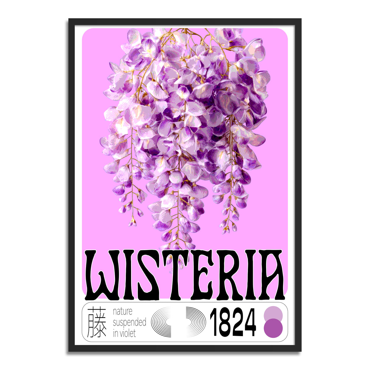 Wisteria