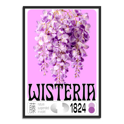 Wisteria