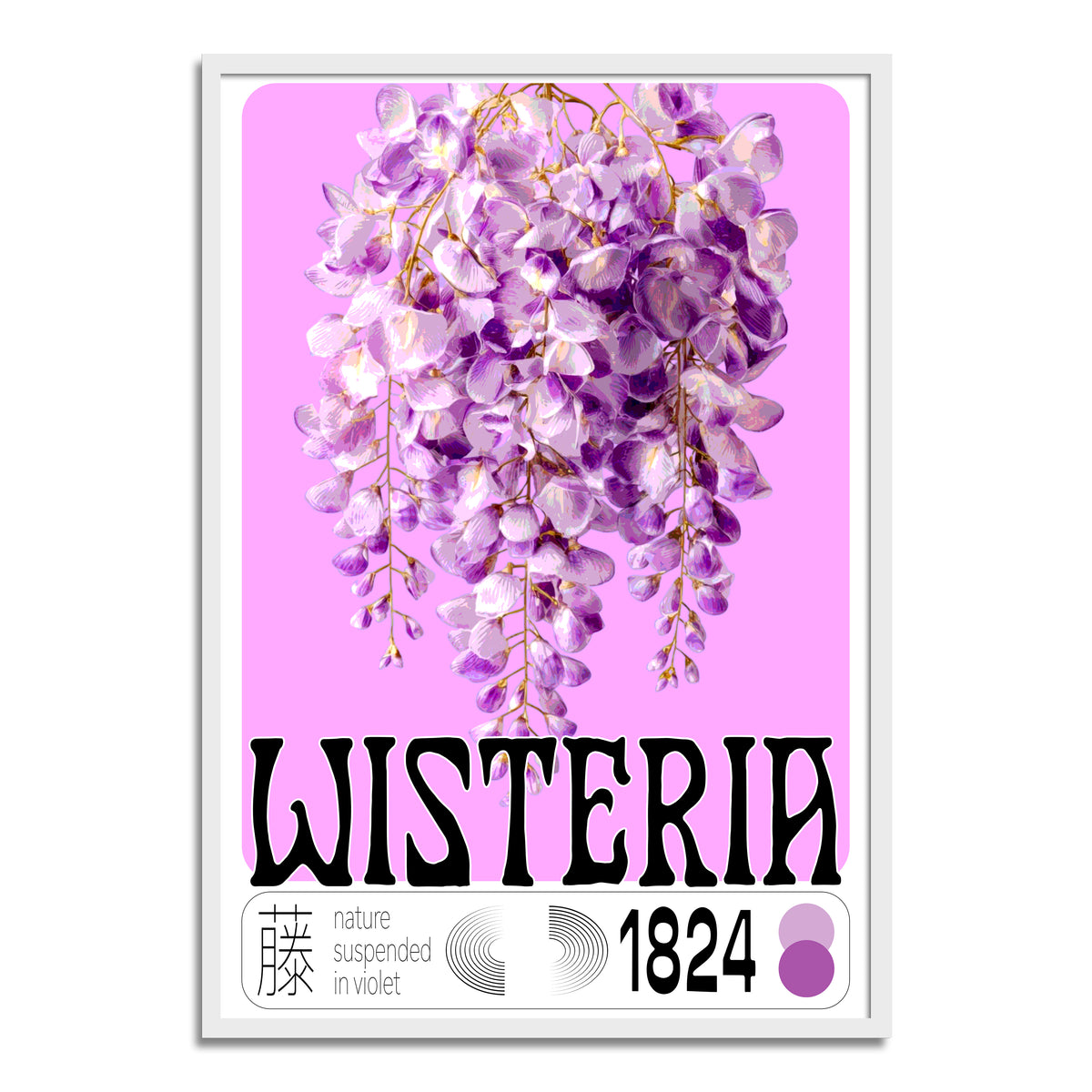 Wisteria