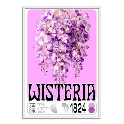Wisteria