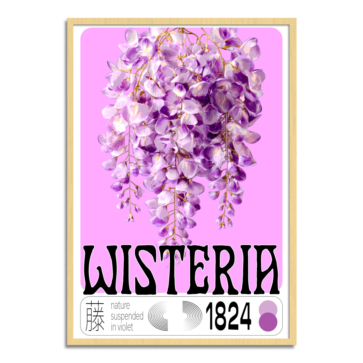 Wisteria