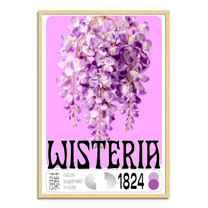 Wisteria