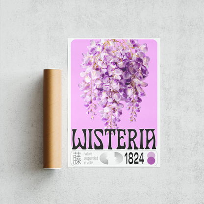 Wisteria
