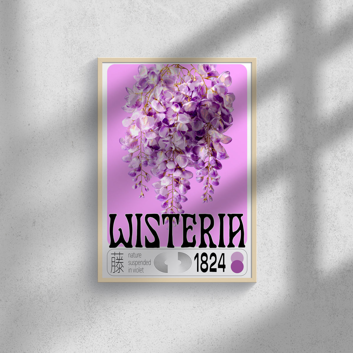 Wisteria